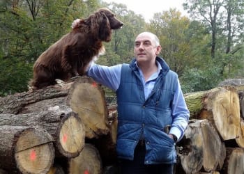 Holiday park’s double whammy as 200 trees face the axe