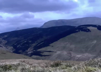 VIDEO: Aftermath of Cogra Moss wildfire