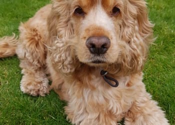 Get a wiggle on for the Bayb’s appeal