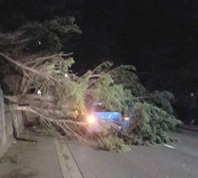 Cumbria County Council responds to Storm Ophelia