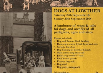 A jamboree of wags and tails