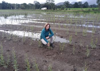 The water firm that’s turning land into a source of renewable energy