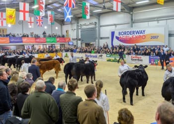 Major Livestock Industry Event scheduled for Carlisle