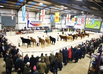 It was “One and Only” for 2019 Borderway Agri-Expo