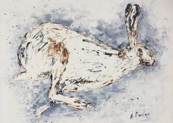 Simply Wild exhibition at RSPB Geltsdale Gallery