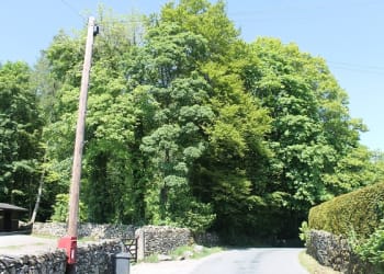 Woods and land near Windermere to go to public auction