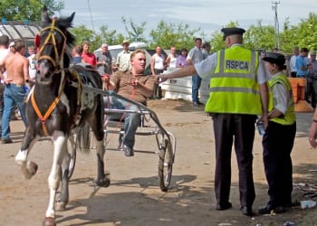 Countdown to Appleby Horse Fair