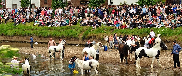 Appleby-horse-fair-river-eden6