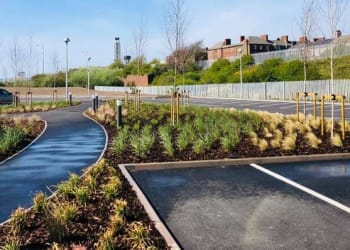 Ashlea Ltd and Johnsons team up to help Waterfront Business Park bloom