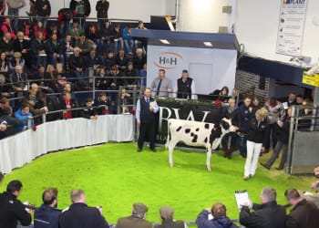 The Crème de la Crème of a Dairy Sale