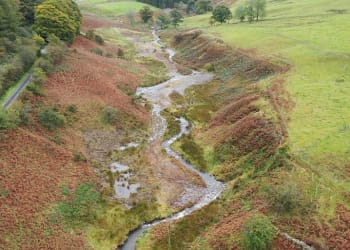 River Cocker natural flood management work takes shape