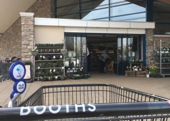 Mother and son snatched booze from Booths to raise money for “poorly dog”