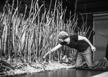 Kirkby Stephen to host stop-motion animation workshop