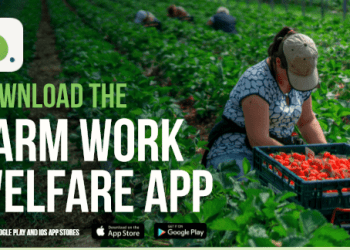 App allows public to report modern slavery on farms