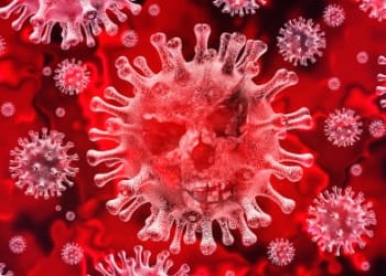 Coronavirus public information campaign launched