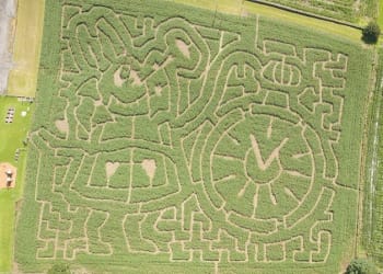 Lakeland Maze Farm Park Pulls a Rabbit Out of the Hat for 2020 Season