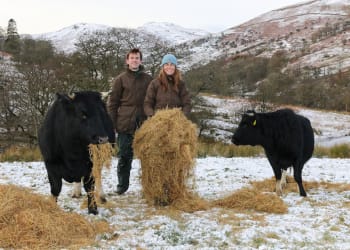 Cumbrian farmers call for a radical overhaul of agricultural policy