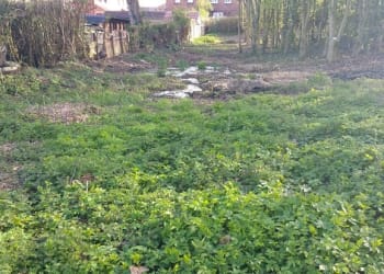 Volunteers needed for Denton Holme green makeover