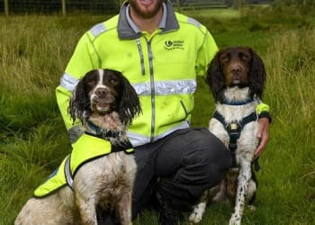 Water sniffer dog Kilo earns his stripes