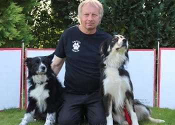 Rescued flyball dogs headed for national championships