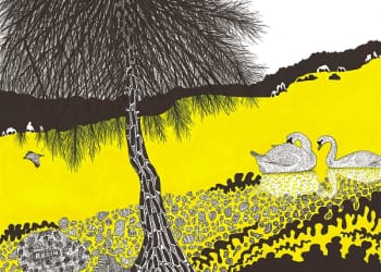 Cumbrian Artist’s Drawing promotes the beauty of the River Eden
