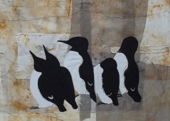 Geltsdale Gallery launch Impressions of the Wild exhibitions