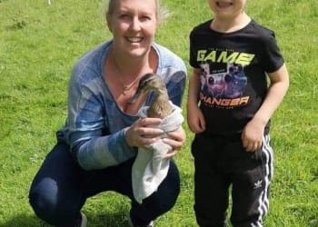 Duck with broken leg nursed back to health by 5yr old