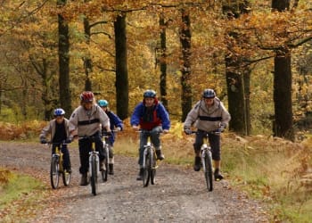 Temporary road closure at Grizedale Forest