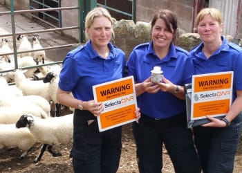 Scheme to tackle livestock theft launched in Cumbria