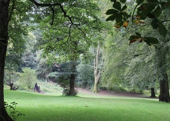 Public consultation begins on Kendal park plans