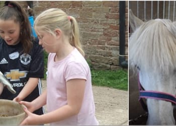Fun and Ponies at Oak Tree Farm