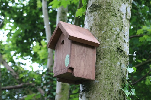 One of the bird boxes set up to encourage birdlife to thrive on the campus.