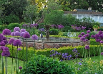 Open Garden at Crossrigg House