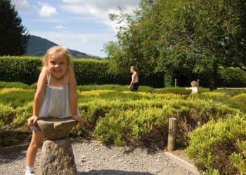 Get A Heritage Buzz On Don’t Step On a Bee Day