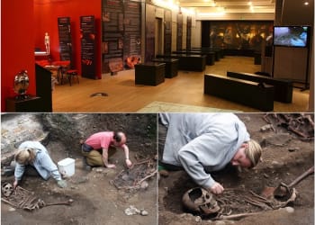 Gladiator remains go on display at The Beacon Museum