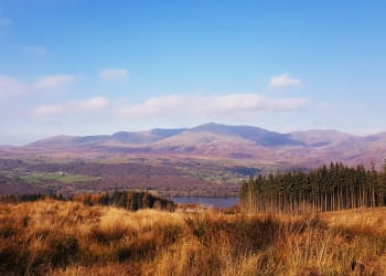 Motorbikes damage Grizedale Forest footpaths