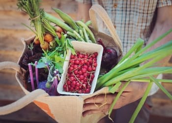 Mental health charity’s veg box scheme expands after COVID crisis boosts demand for local food