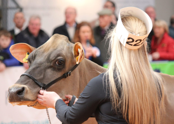Online webinar to offer insight into rural sectors