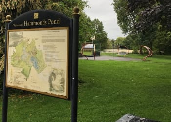 Carlisle man admits committing sex offences in Carlisle park