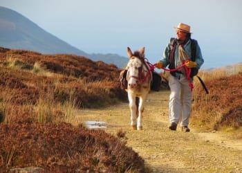 “You can never fool a mule!” Wainwright prize-winner Hugh Thomson visits Keswick