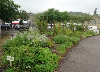 Incredible Edible community gardening initiative for Longtown