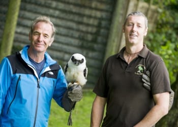 Robson Green makes ‘flying’ visit to Cumberland Bird of Prey Centre