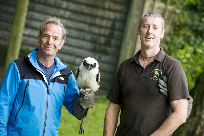 The Cumberland Bird of Prey Centre.