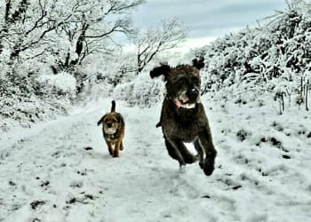 Walking in a winter wonderland: More of your snow photos