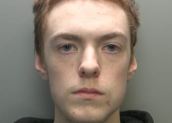 Penrith teen locked up for child sex crimes and attempted intercourse with dog
