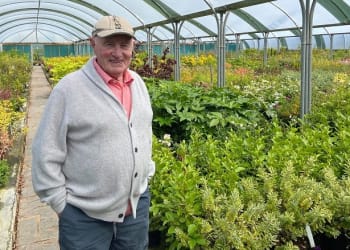 Green shoots of recovery for the horticultural sector