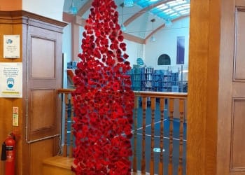 Kendal Library commemorates Remembrance Day with a cascade of poppies