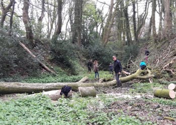 Upskilling local volunteers to protect wildlife and their own homes