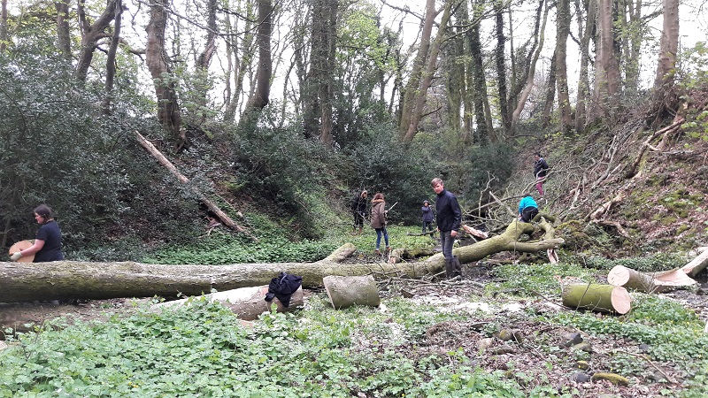 Volunteers moving logs and brash where the first leaky dam has been created.