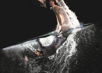 Leviathan by James Wilton Dance comes to Appleby